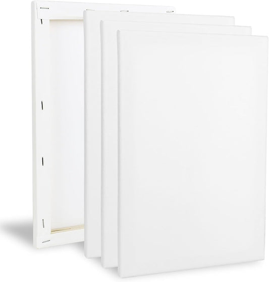XTDMJ 20X30Cm Canvas for Painting, 4 Pack Stretched Canvases for Adults, Acrylics & Oils Painting