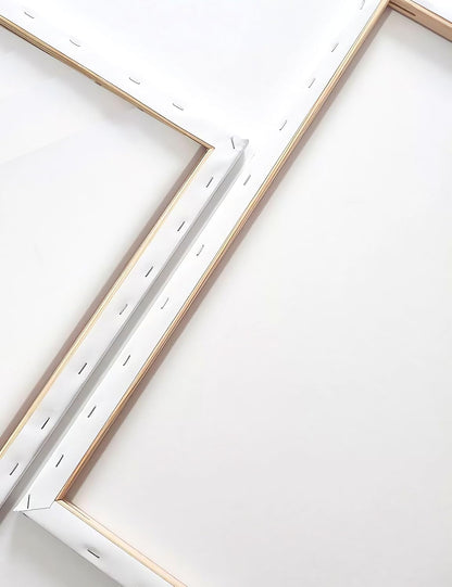Stretched Canvas for Painting – 100% Cotton, Triple-Primed (Multiple Sizes & Packs)