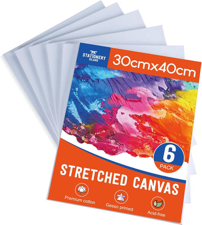 Stretched Canvas for Painting – 100% Cotton, Triple-Primed (Multiple Sizes & Packs)