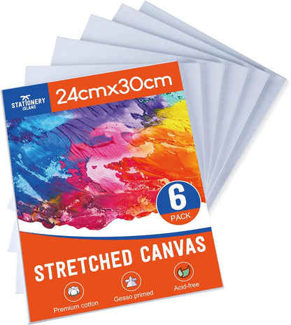 Stretched Canvas for Painting – 100% Cotton, Triple-Primed (Multiple Sizes & Packs)