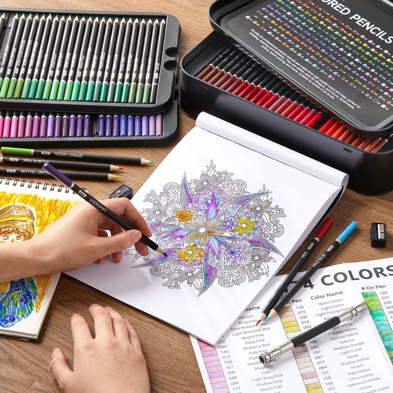 Professional Coloured Pencil Set – High-Quality Pencils for Artists & Colouring Enthusiasts