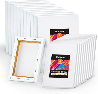 Shuttle Art Stretched Canvas Set – Premium Quality for Artists & Beginners
