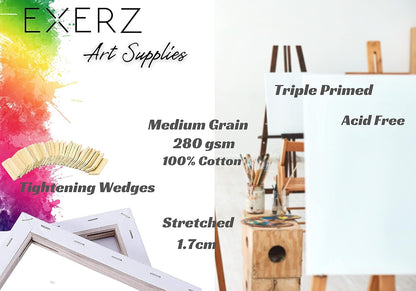 Stretched Canvas – 100% Cotton, Triple-Primed, White (Multiple Sizes & Packs)