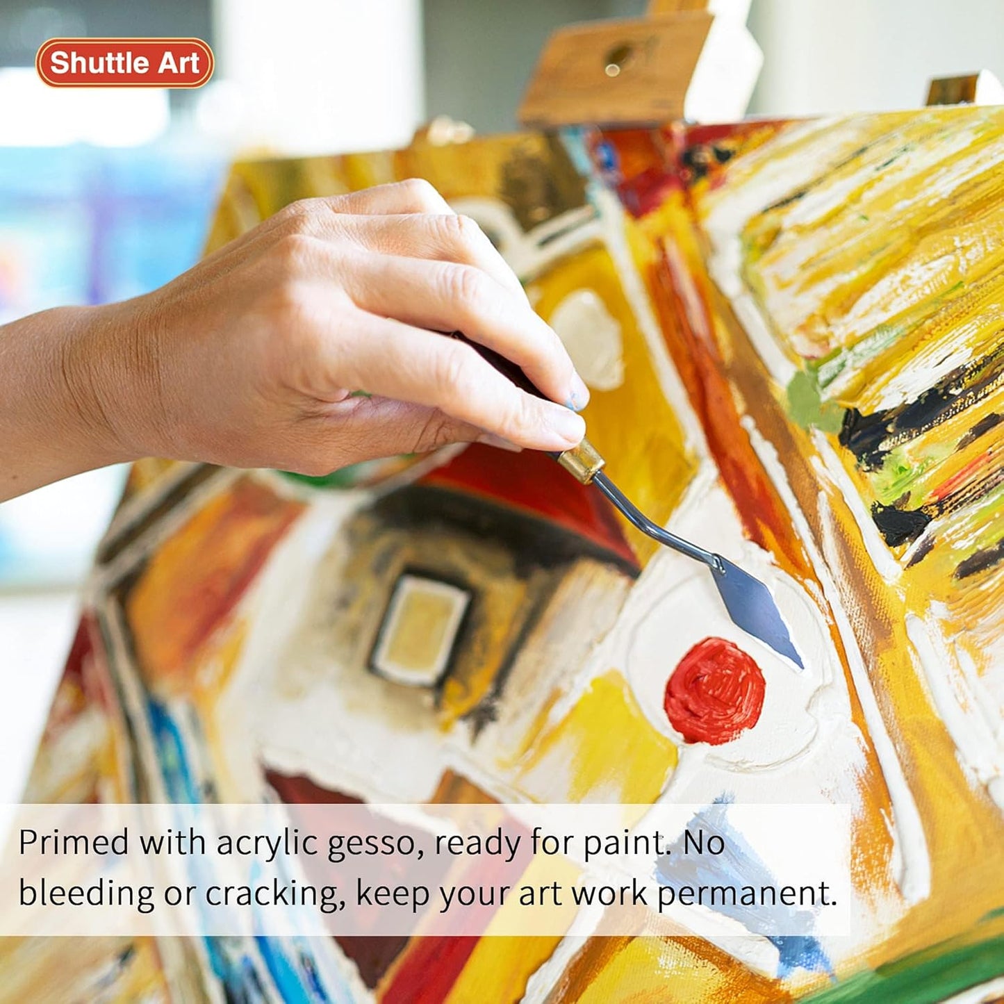 Shuttle Art Stretched Canvas Set – Premium Quality for Artists & Beginners