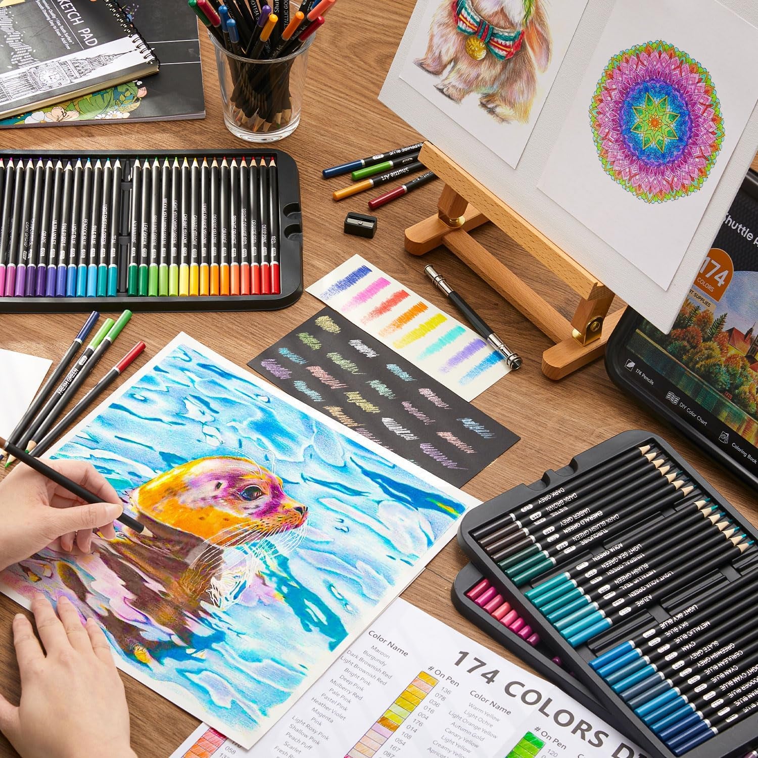 Professional Coloured Pencil Set – High-Quality Pencils for Artists & Colouring Enthusiasts