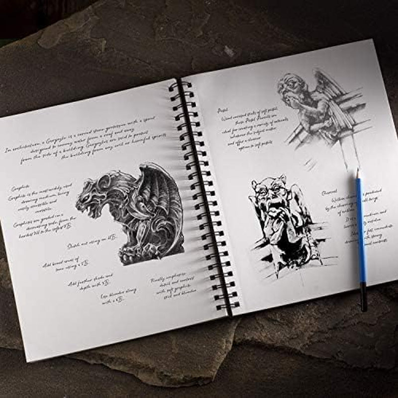 Castle Art Supplies Premium Sketch Books 9In X 12In | Double Sketch Pad Pack | 200 Sheets of Quality 90Gsm Paper | for Adult Artists and Learners | Spiral Bound for Versatility