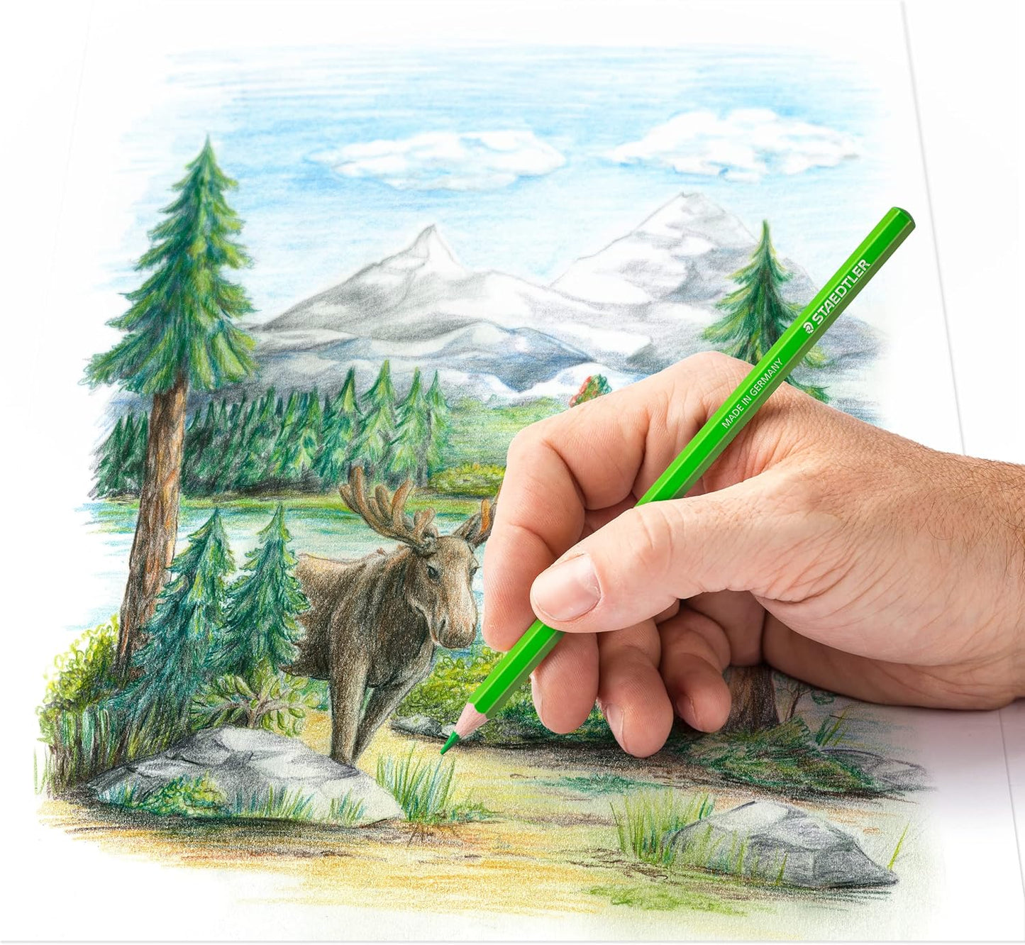 STAEDTLER High-Quality Coloured Pencils – Vibrant & Blendable for Creative Expression