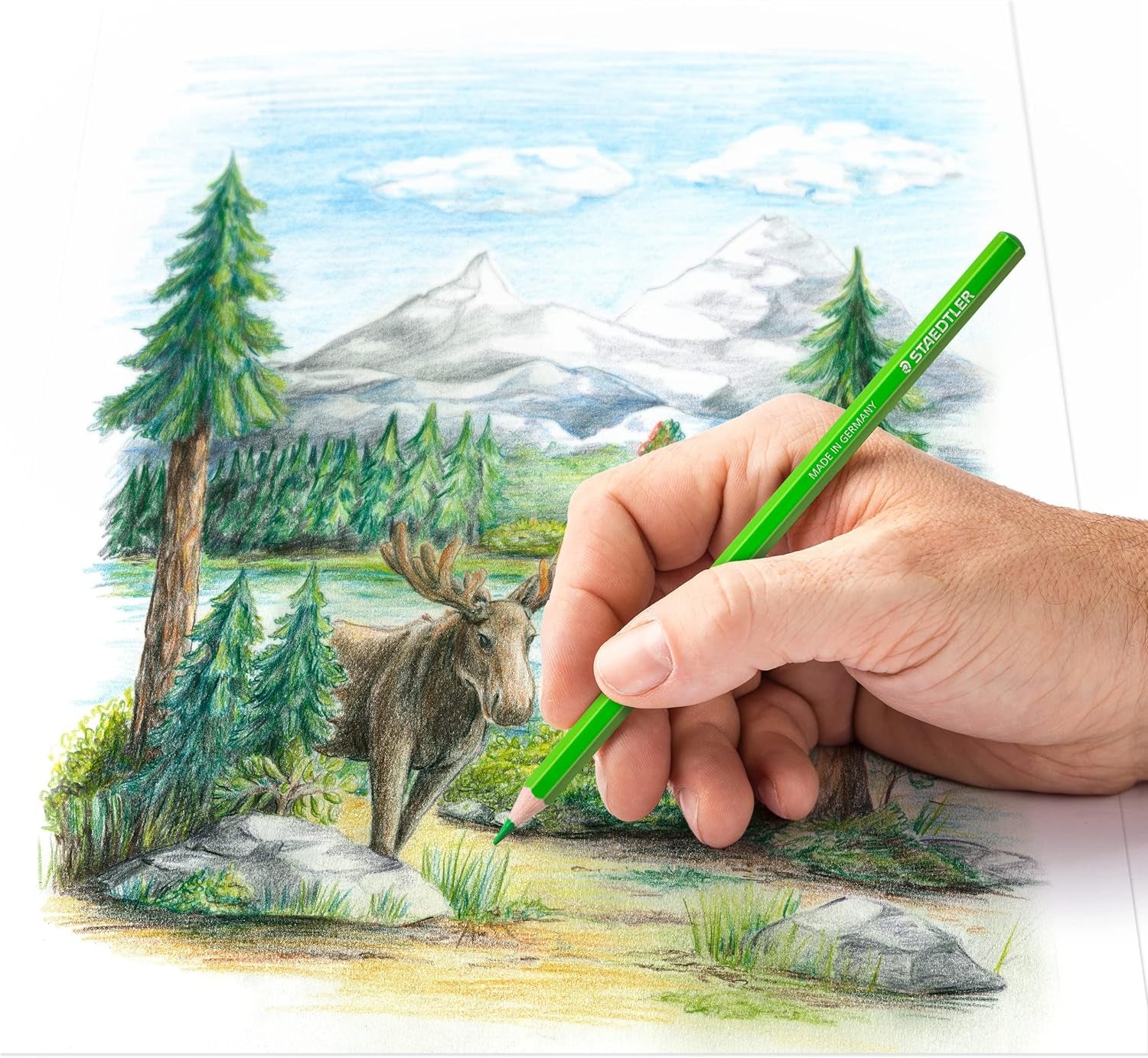 STAEDTLER High-Quality Coloured Pencils – Vibrant & Blendable for Creative Expression