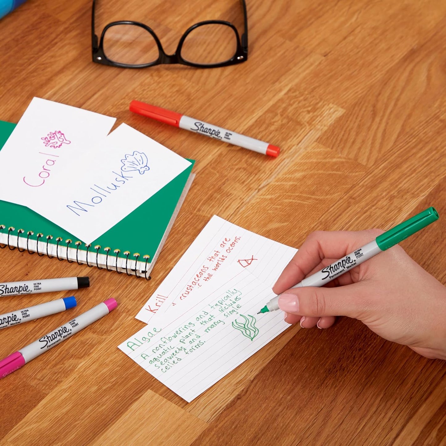 Sharpie Permanent Markers | Ultra Fine Point for Precise Marks | Assorted Colours | 12 Marker Pens