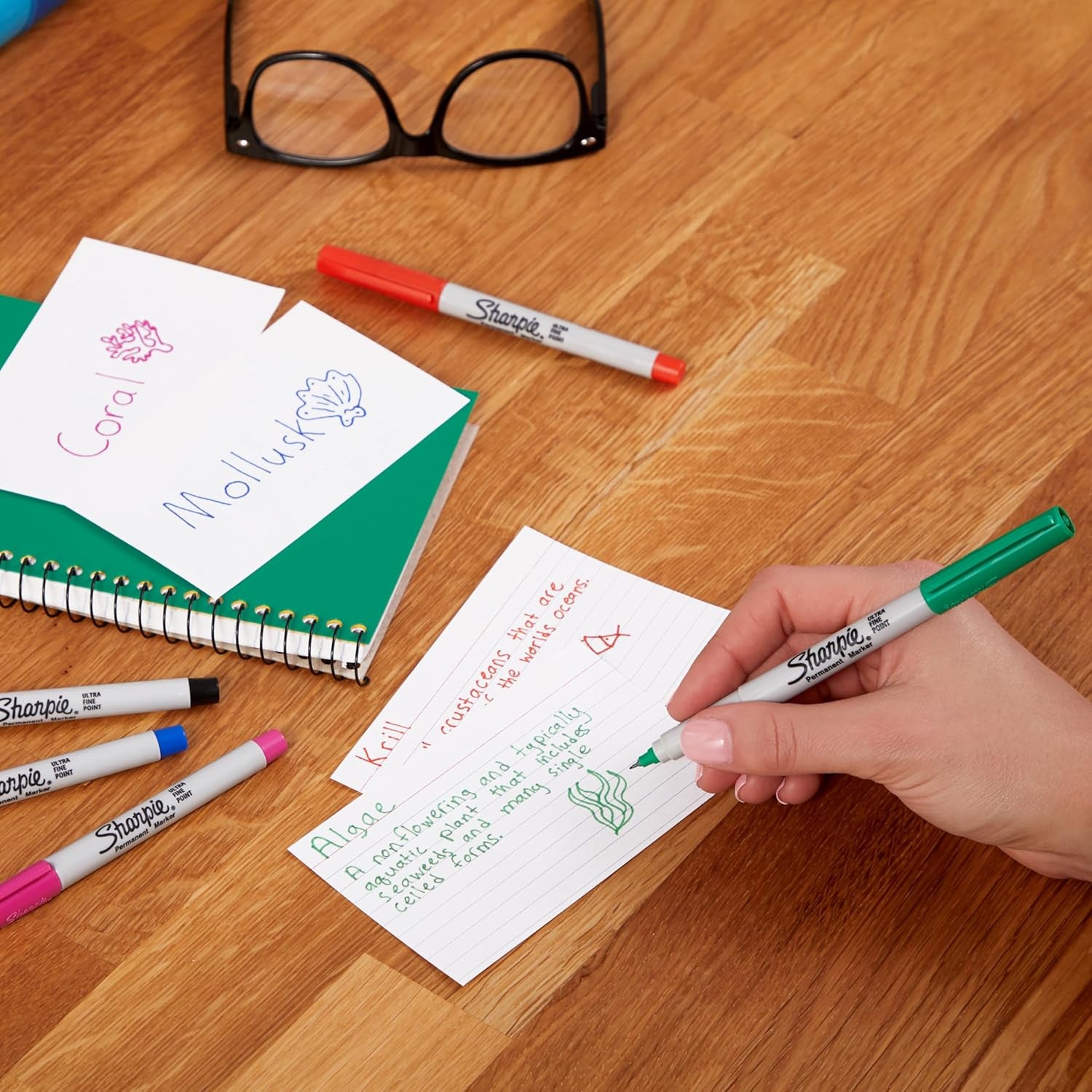 Sharpie Permanent Markers | Ultra Fine Point for Precise Marks | Assorted Colours | 12 Marker Pens